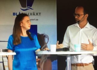 Boriana Åberg (M) vill lätta på språkkraven ombord