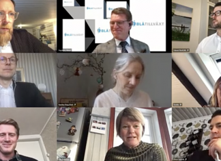 Höga sjöfartsambitioner i finansutskottet